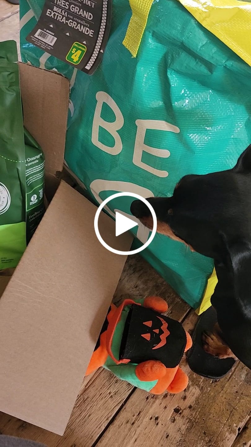 Customer video review of Farmed Insects formulas / Adult & Puppy