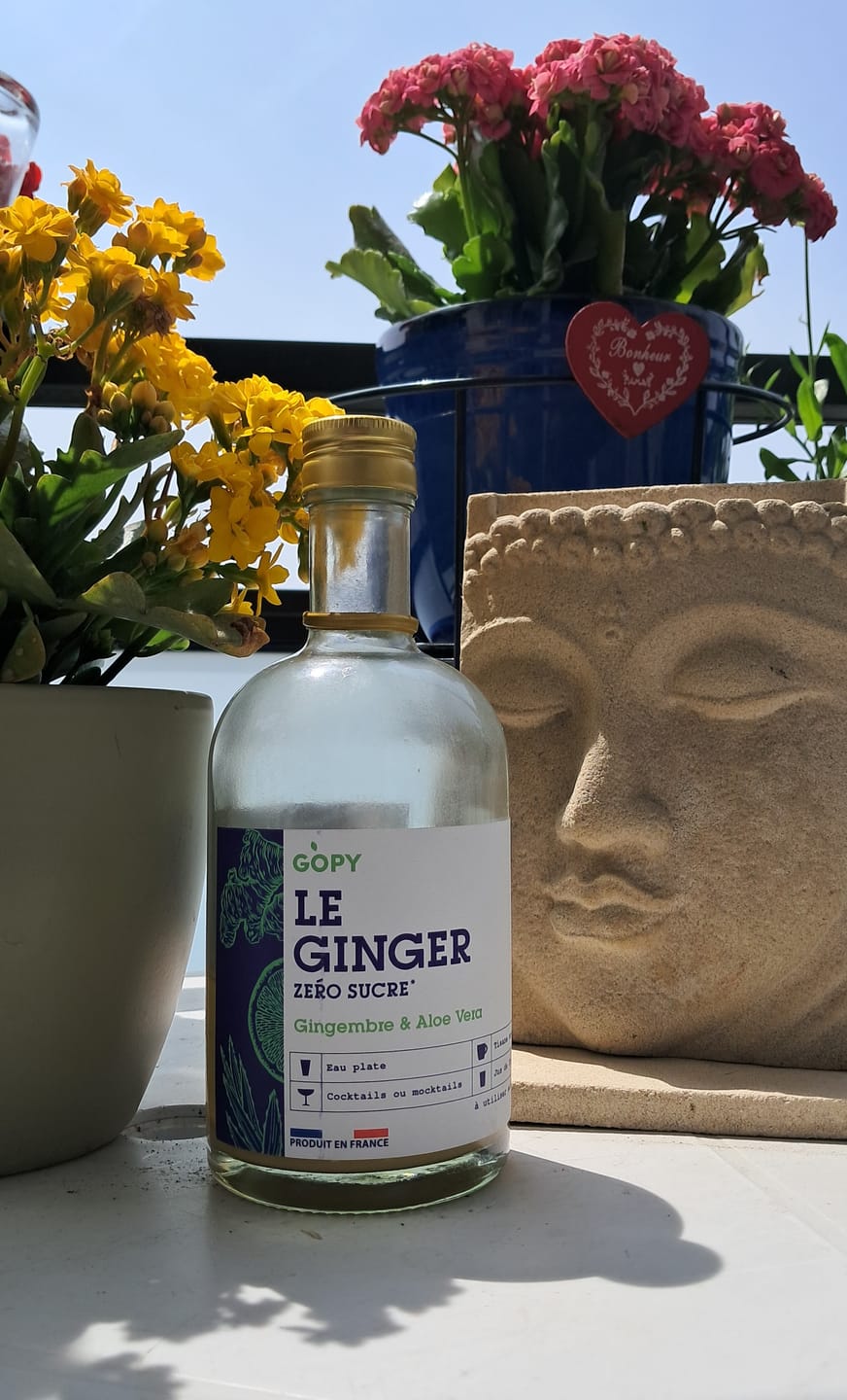 Customer photo review of Le Ginger Zéro Sucre Aloe Vera BIO