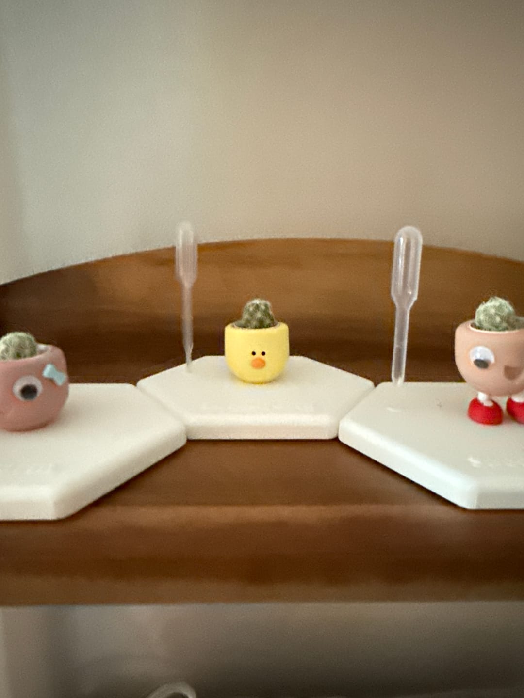 Customer photo review of Chick Magnet