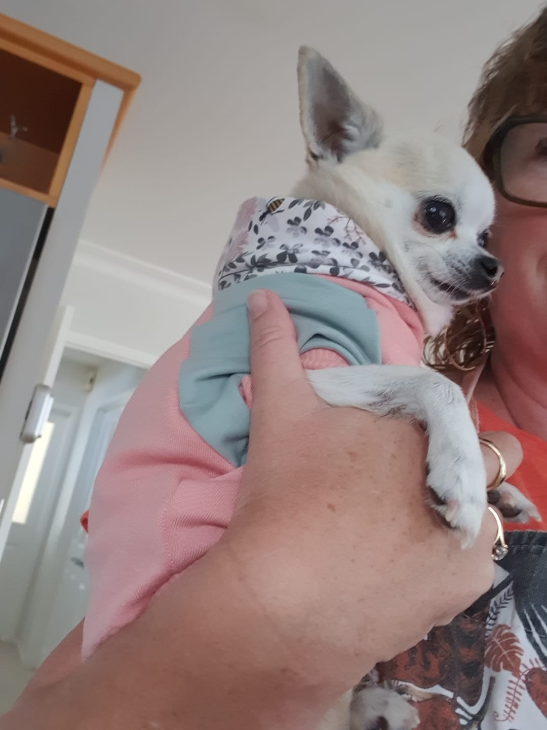Customer photo review of Hoodie - Build a Hoodie
