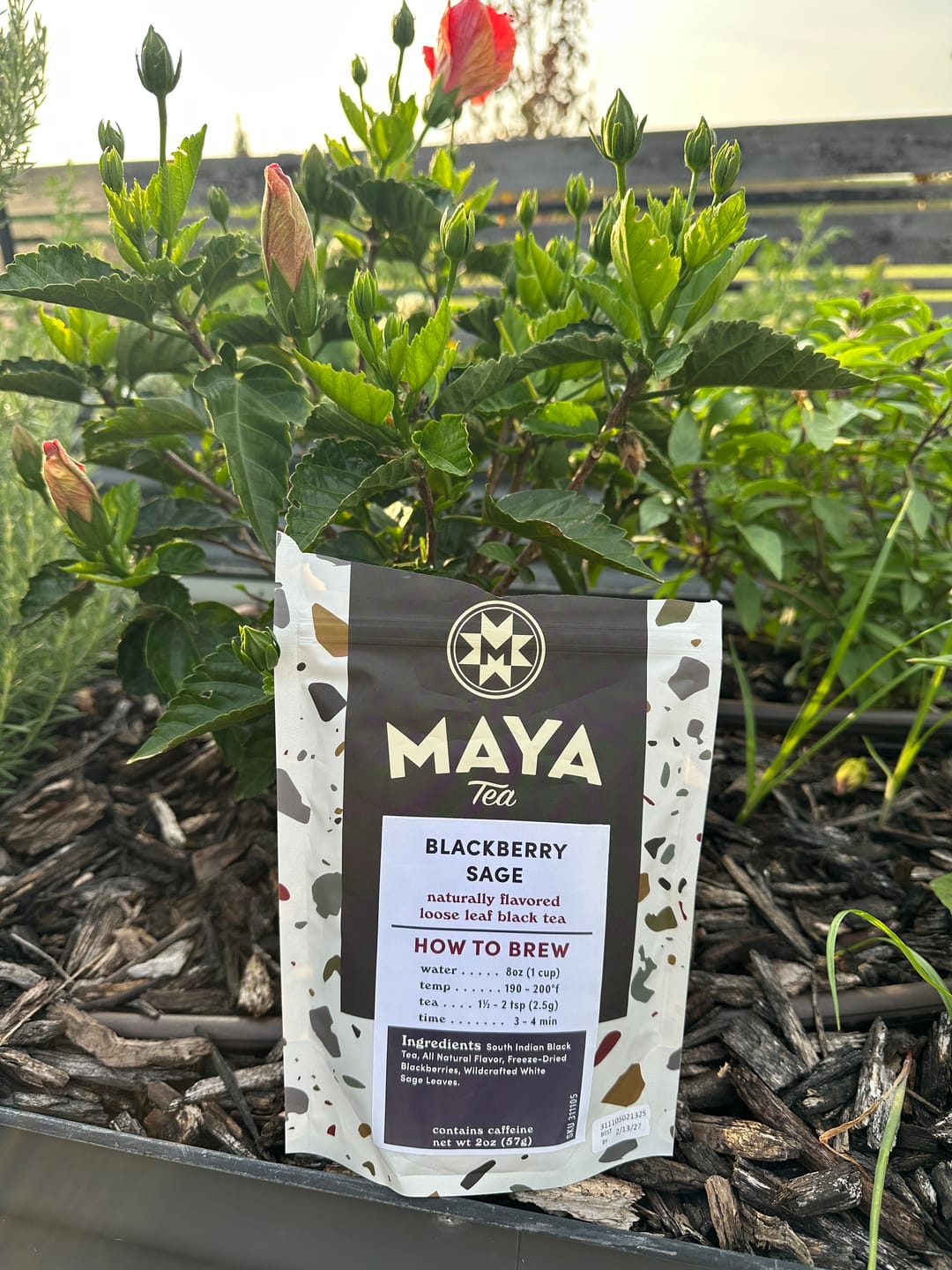 Customer photo review of Blackberry Sage Black