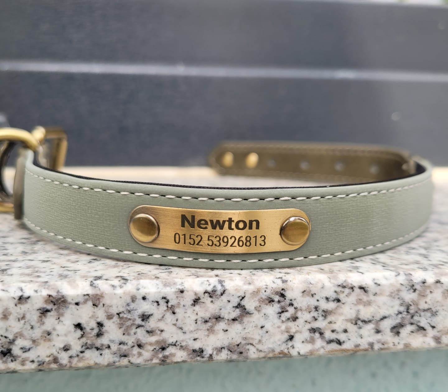 Customer photo review of Wunderschönes Reflektions Hundehalsband mit Namen graviert