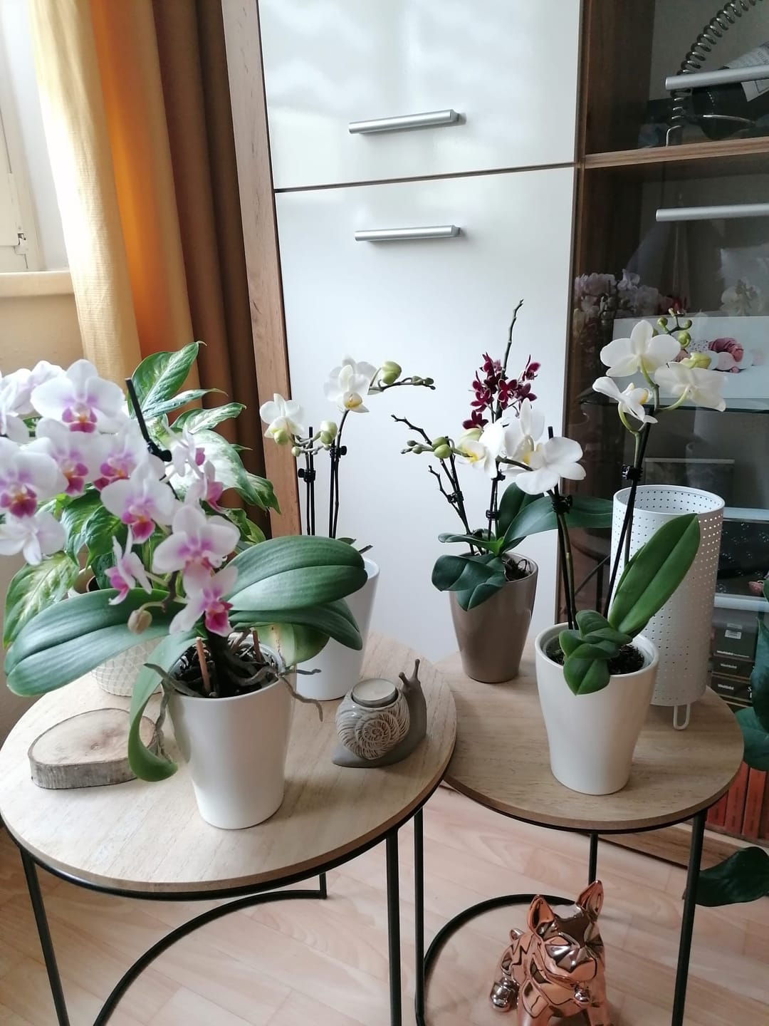 Customer photo review of Table Dance Weiß mit weißen Blüten und 2 Rispen