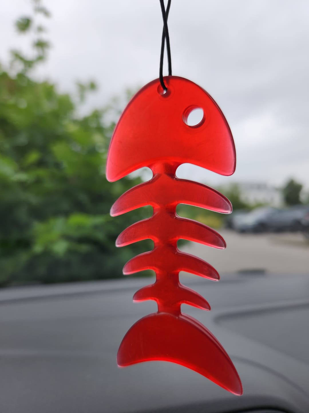 Customer photo review of Funny Fish - Cherry