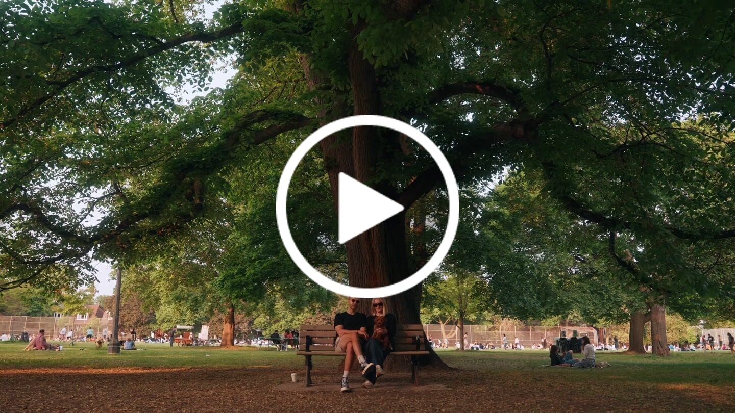 Customer video review of Color LUTs