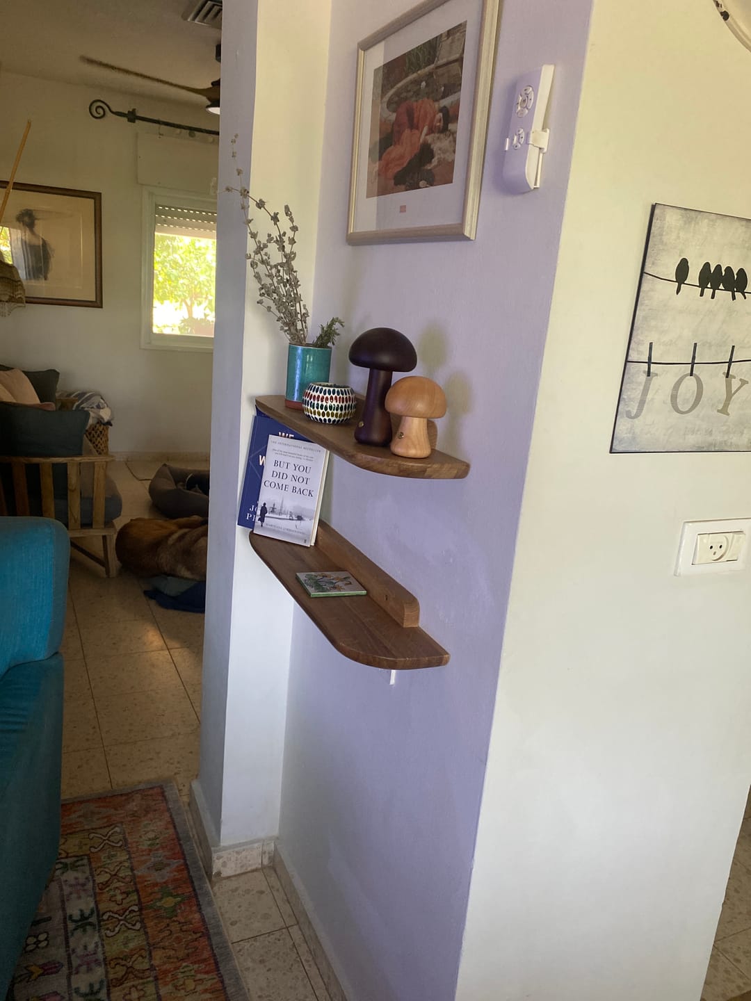 Customer photo review of מדף ARC