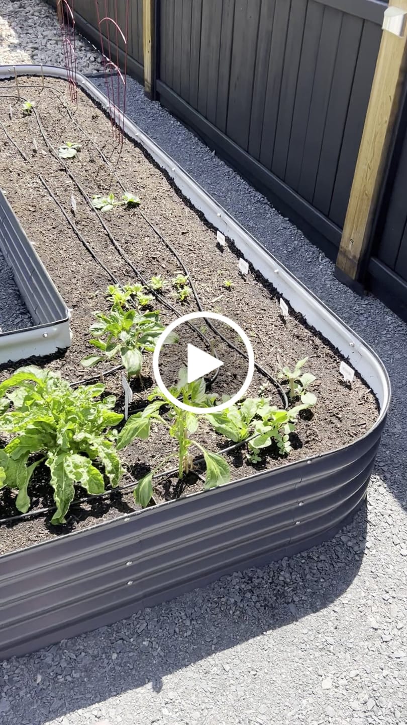 Customer video review of 17" Tall U-Shape
