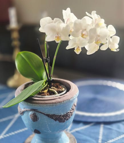 Customer photo review of Table Dance Weiß mit weißen Blüten und 2 Rispen