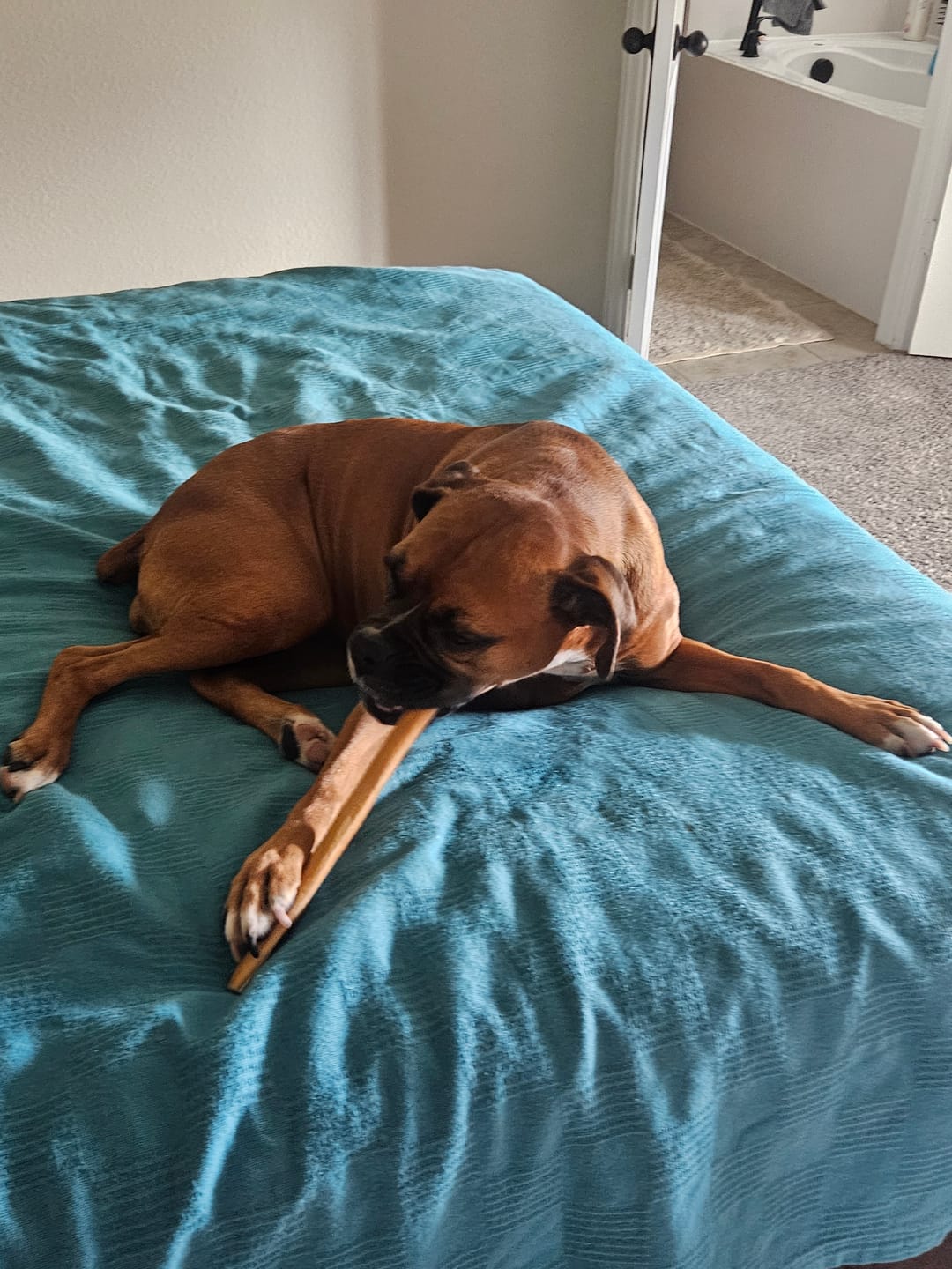 Customer photo review of Smoked Beef Marrow Bones