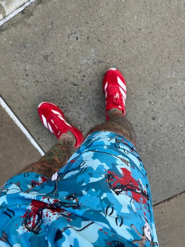 Salvatore V. review of STRIDER CASCADES image 1 out of 2