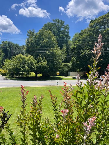 Customer photo review of Double-Action Hand Pump