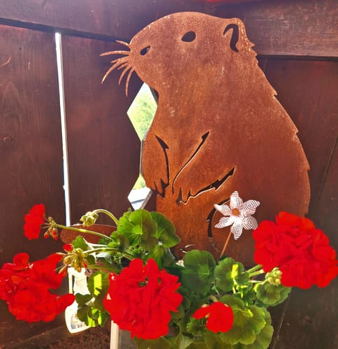 Customer photo review of Gartenstecker Biber