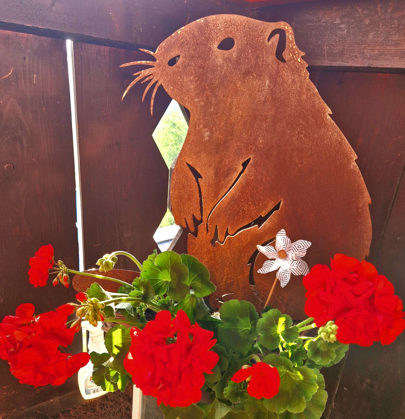 Customer photo review of Gartenstecker Biber