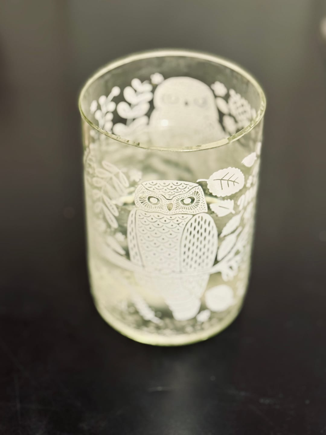 Customer photo review of Aves de Chile - Juego de 4 Vasos - 330 ml