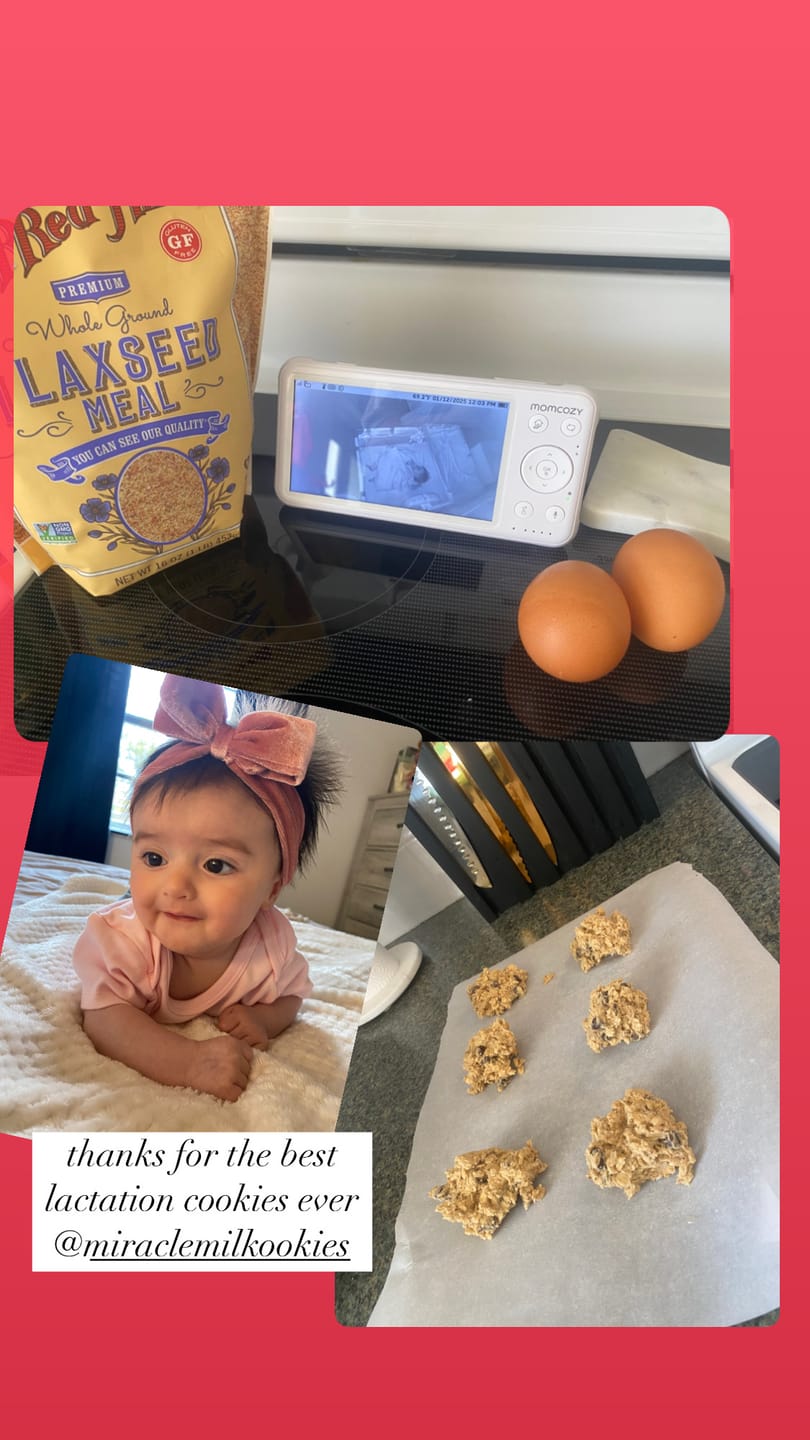Customer photo review of Oatmeal Chocolate Chip Lactation Kookies