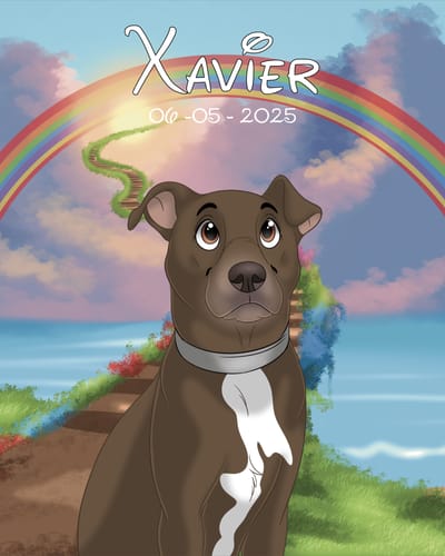 Customer photo review of Custom Hand-Drawn Cartoon Pet Portrait