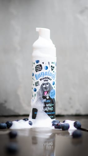 Customer photo review of Blueberry Spa™ No Rinse Facial Wash + Shampoo with Blueberry & Colloidal Oatmeal for Dogs
