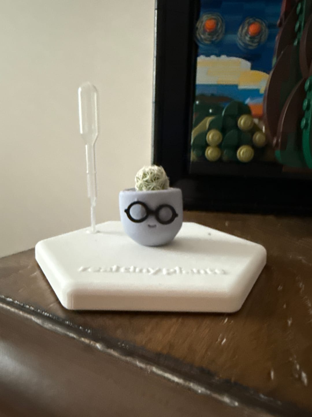 Customer photo review of Smart Dad