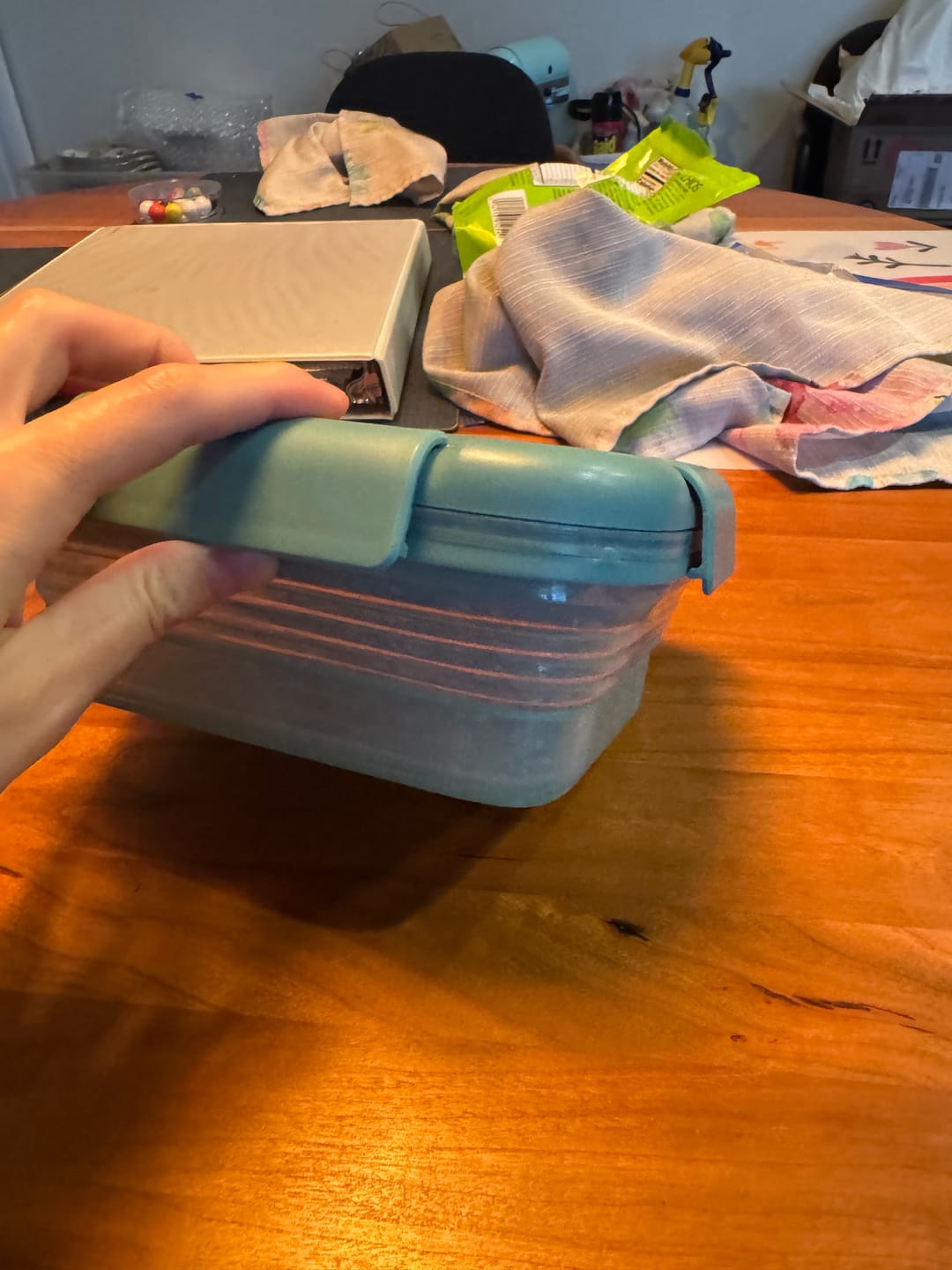 Customer photo review of Collapsible Bento Container