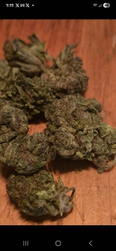 Customer photo review of Sour Fuel THCA Flower