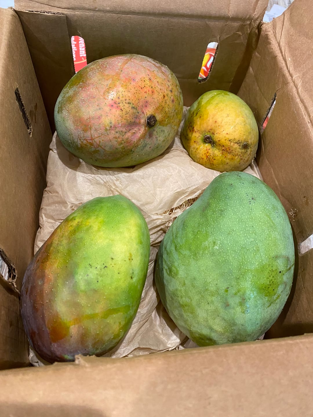 Customer photo review of Mango Mix Box