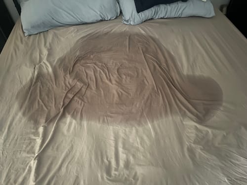 Customer photo review of Shipping Protection