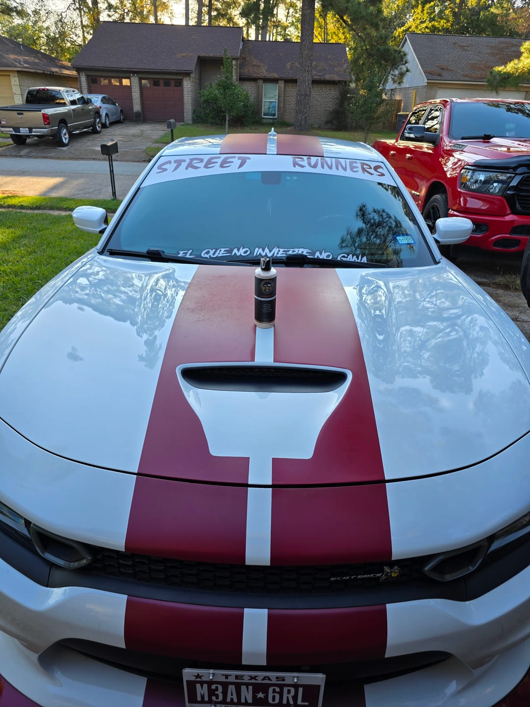 Customer photo review of STRYPX - IRON REMOVER AND CLAY LUBE