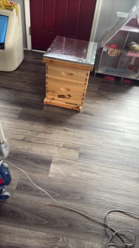 Customer photo review of MayBee Hives Wax-Coated 10 Frame 2 Layer Honey Bee Hives Include 1 Deep Hive Box and 1 Medium Super Bee Box,Suitable for Langstroth Beehive