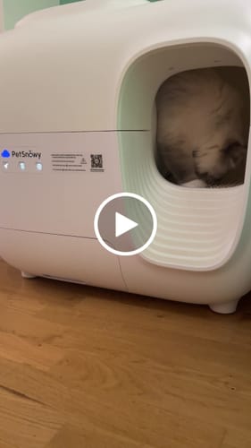 Customer video review of Self-Cleaning Litter Box