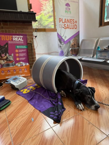 Customer photo review of Librela®