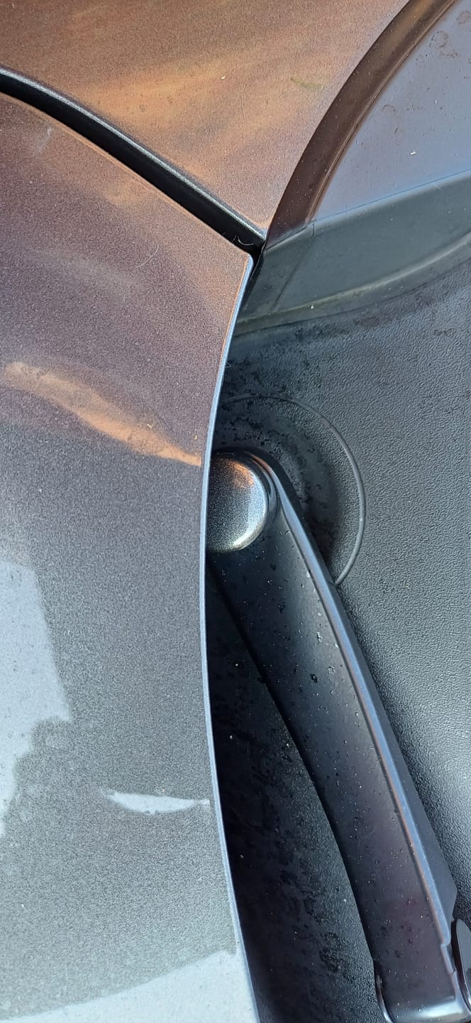 Customer photo review of Wiper Arm Bolt Rubber Covers - Various Fiesta, Focus & Puma Models