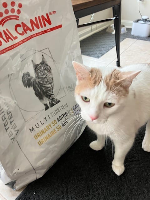 Customer photo review of Royal Canin Veterinarian Diet - Urinary SO Aging 7+ Calm Cat