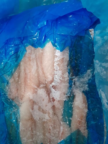 Customer photo review of 5KG Red Gurnard Fillets Frozen