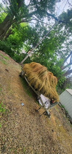 undefined review of Hunting Blind Raffia Grass (Individual) image 1 out of 1