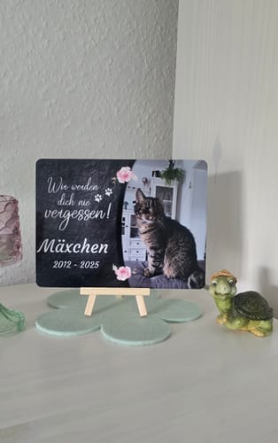 Customer photo review of Katzen Gedenktafel mit Foto & Spruch (UV- & Wetterfest)