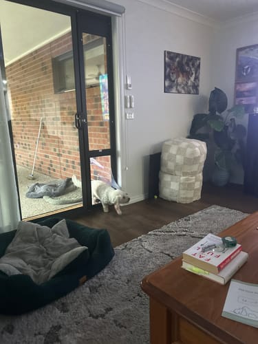 Customer photo review of Patio Pet Door Insert