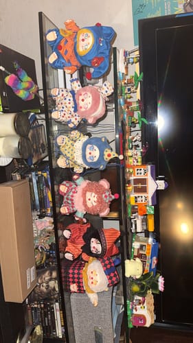 Customer photo review of Cino's Dreamland Circus Series Plush Blind Box