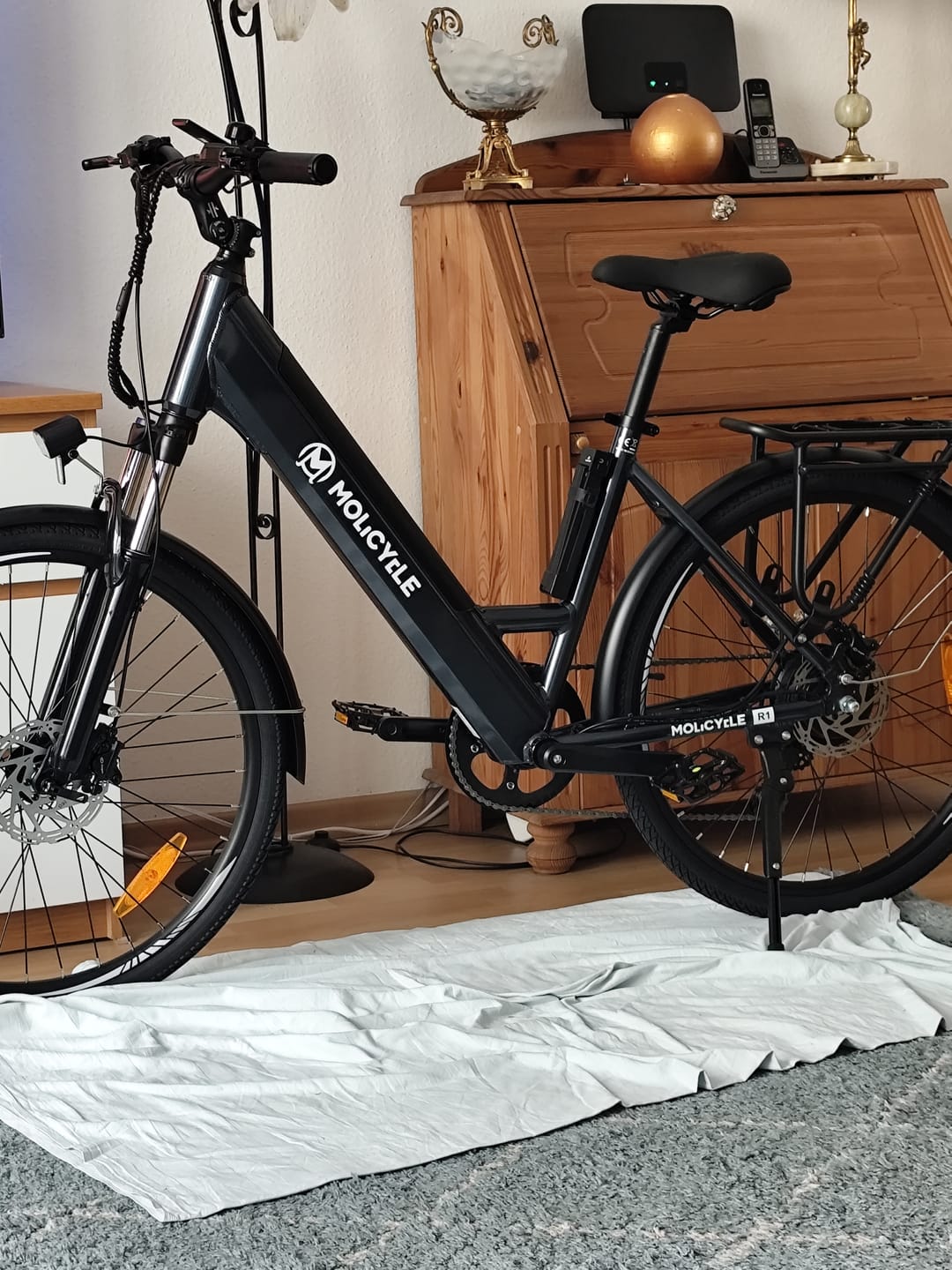 Customer photo review of Molicycle R1 250W 26" Electric Trekking Bike 532Wh City E-bike with Torque Sensor 14.5Ah Support APP