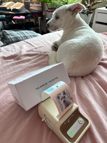 Customer photo review of NIIMBOT B21Pro Upgraded Photo Label Printer, 300dpi Thermal Label Sticker Printer