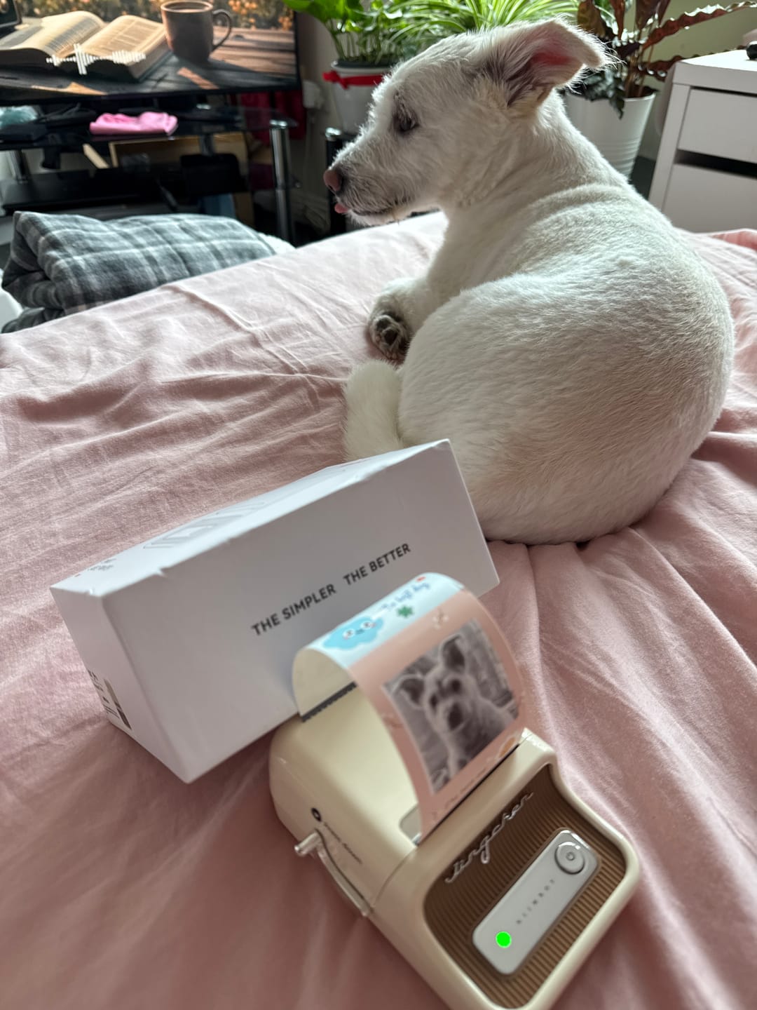 Customer photo review of NIIMBOT B21Pro Upgraded Photo Label Printer, 300dpi Thermal Label Sticker Printer