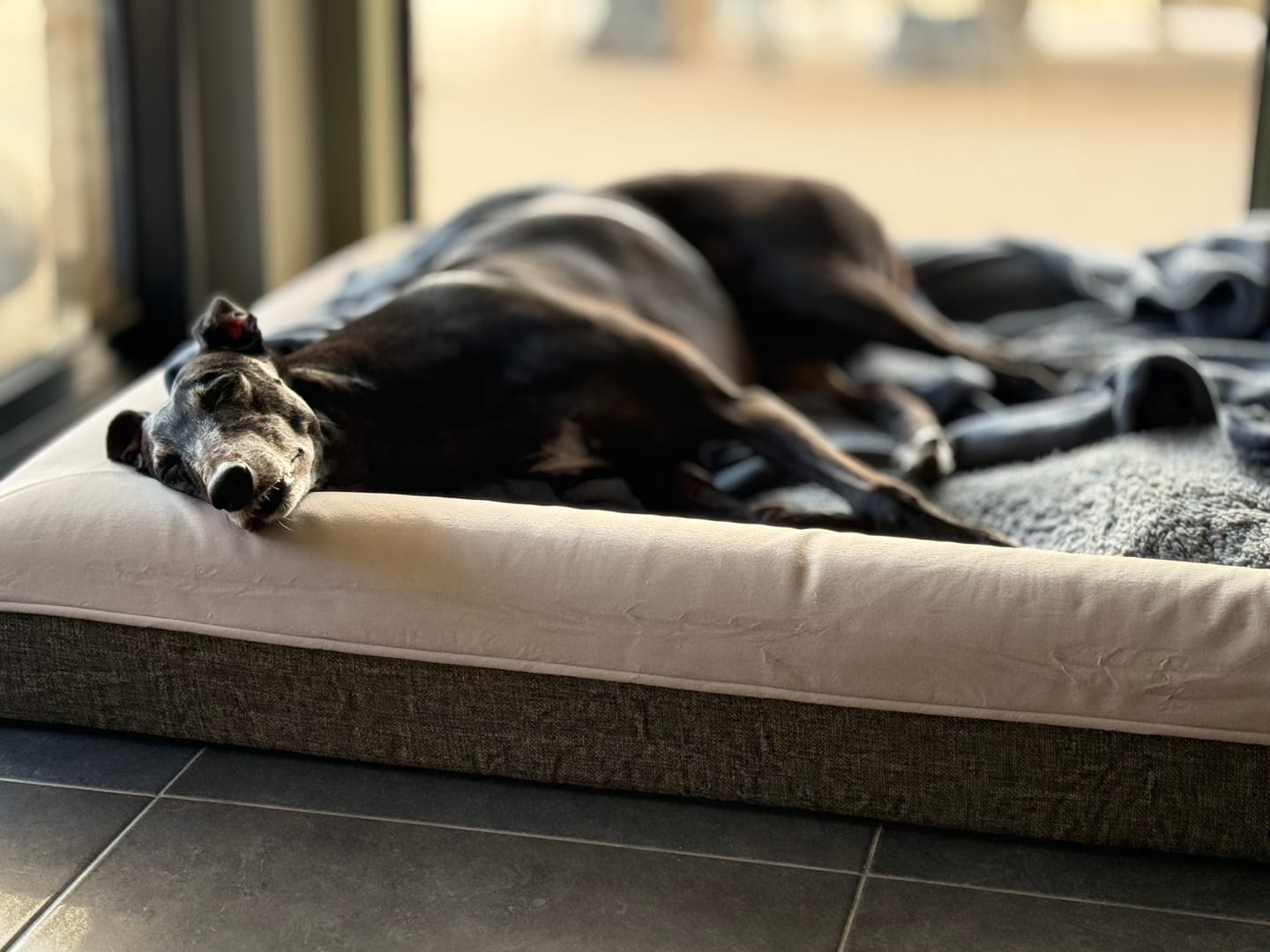 Customer photo review of Kangaroo Bed - Large