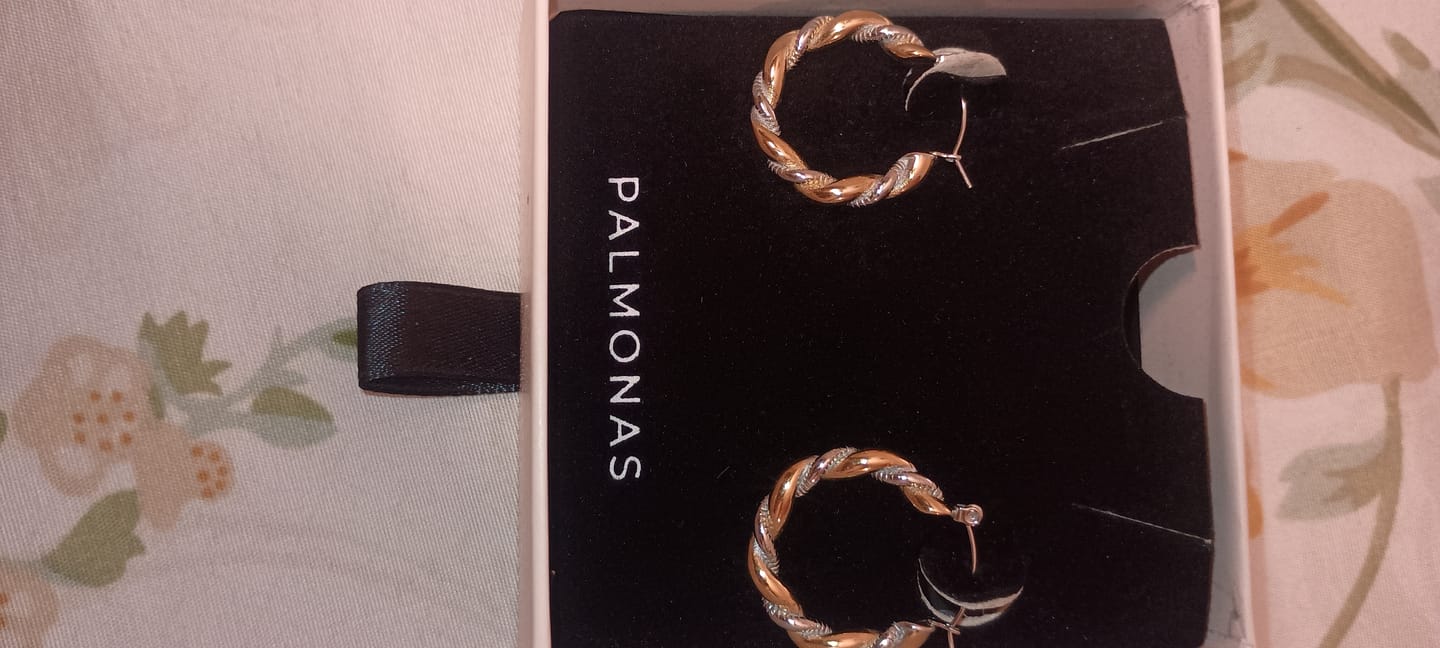 Customer photo review of Golden Silver Twisted Hoop Earrings