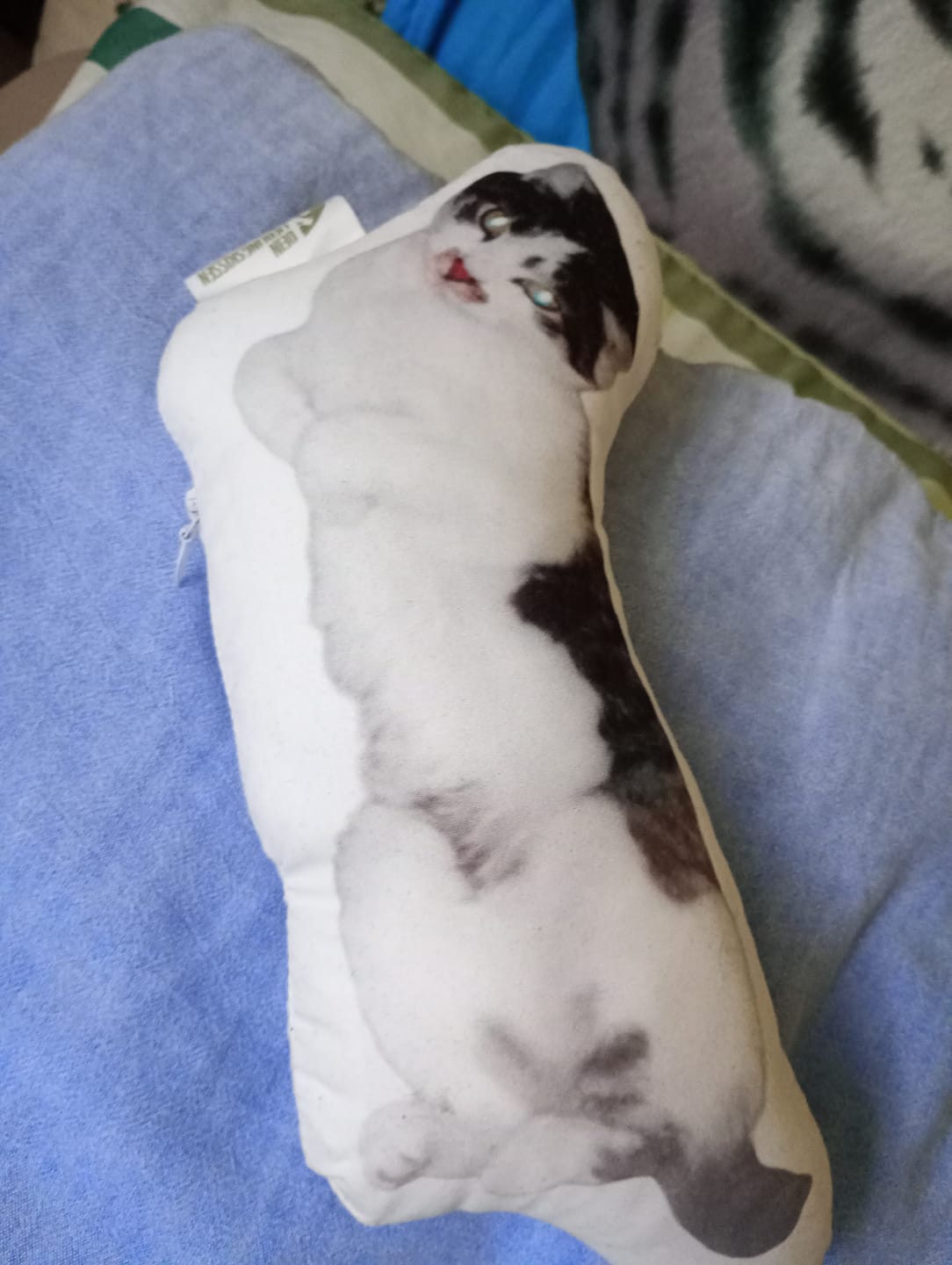 Customer photo review of Personalisiertes Katzenkissen