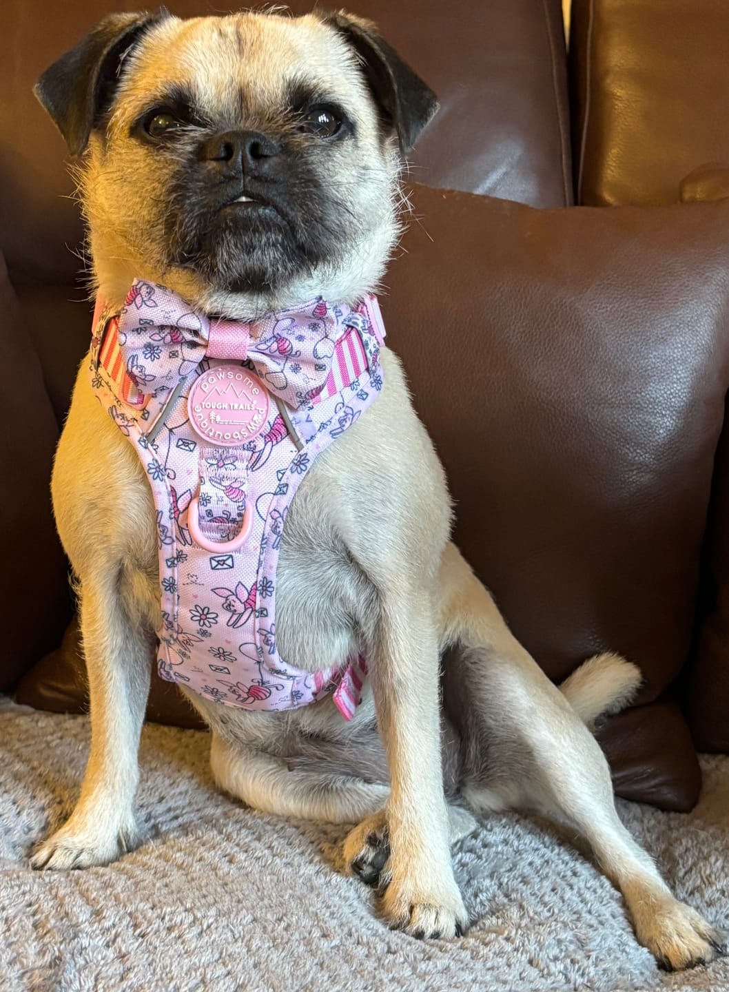 Customer photo review of Disney© Tough Trails™ Harness - Piglet