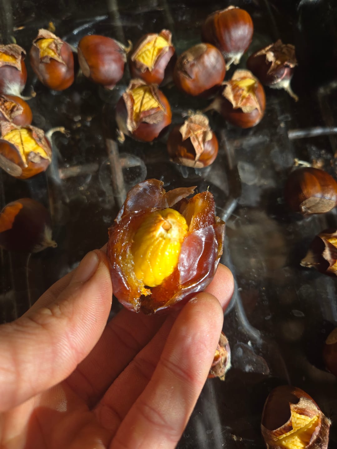 Customer photo review of Organic Barhi Dates Box