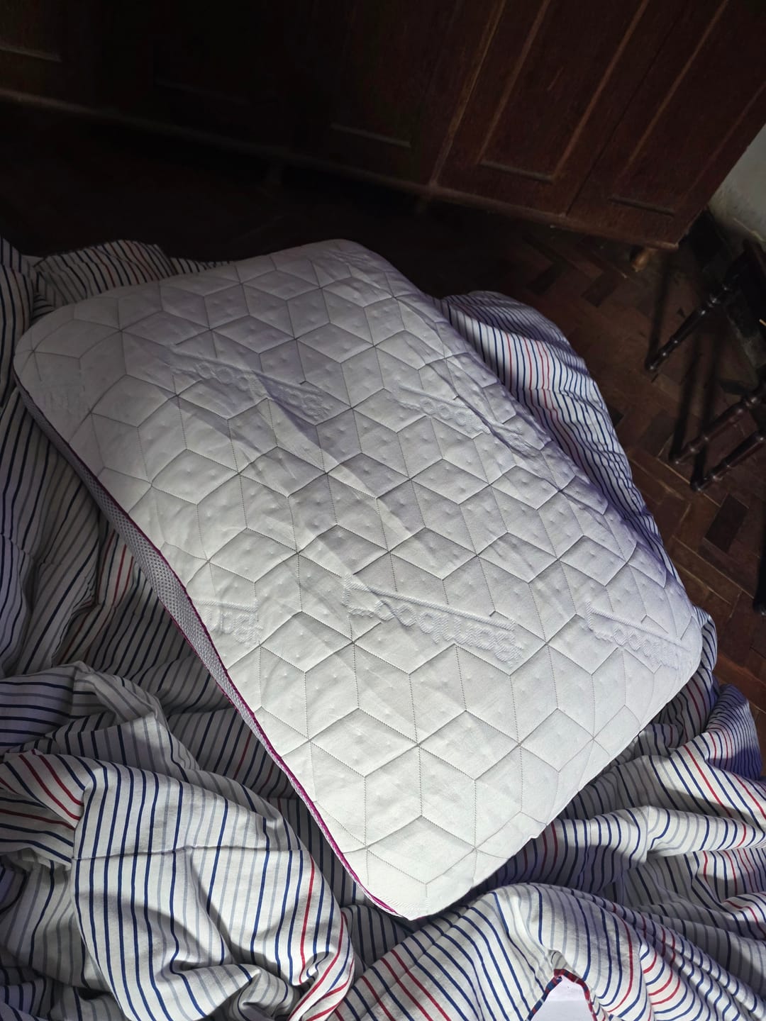 Customer photo review of Travesseiro IWS Snow®