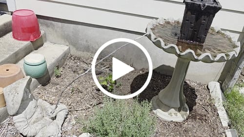 Customer video review of Fortezza Cordless Fountain Tower