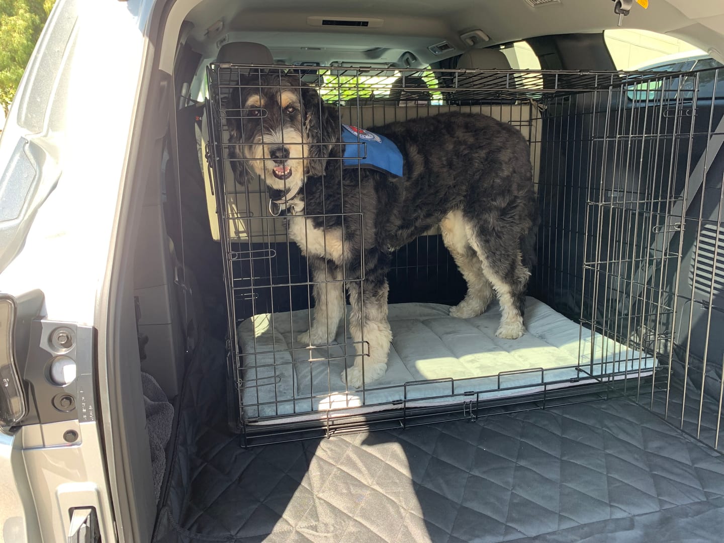 Customer photo review of SUV Cargo Liner for Fold Down Seats - XL