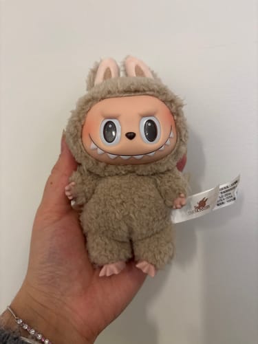 Customer photo review of Pop Mart Labubu The Monsters Tasty Macarons Vinyl Plush Pendant Single Blind Box