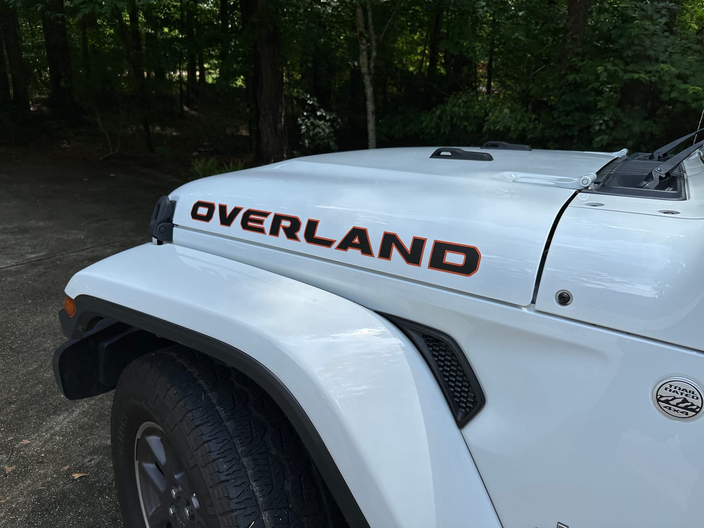 Customer photo review of Premium Hood Lettering | Set of 2